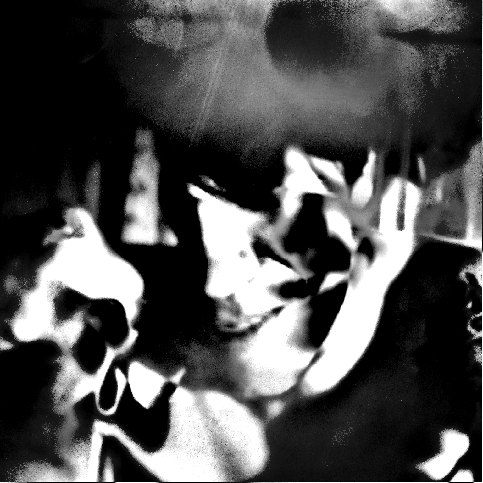 distorted_faces